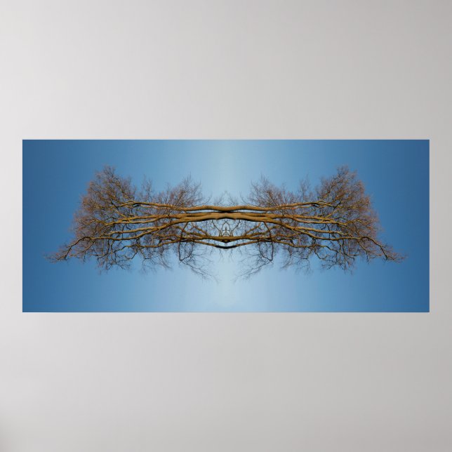 Reflektierte Bäume Poster (Vorne)