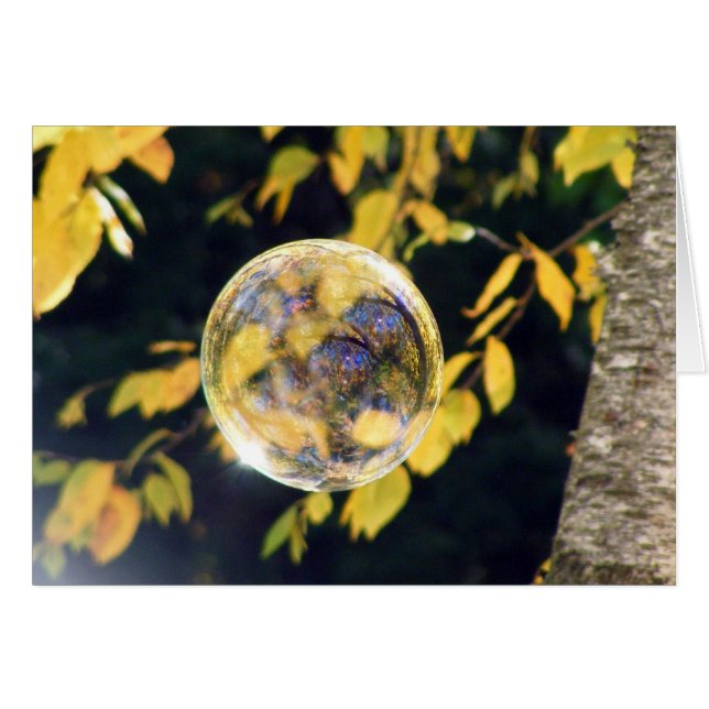 Reflektierte Herbstleaves (Vorderseite (Horizontal))