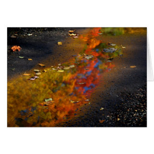 Reflektierter Ruhm