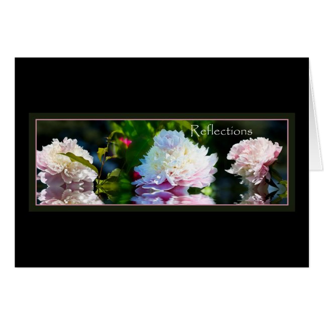 Reflektion (Vorderseite (Horizontal))