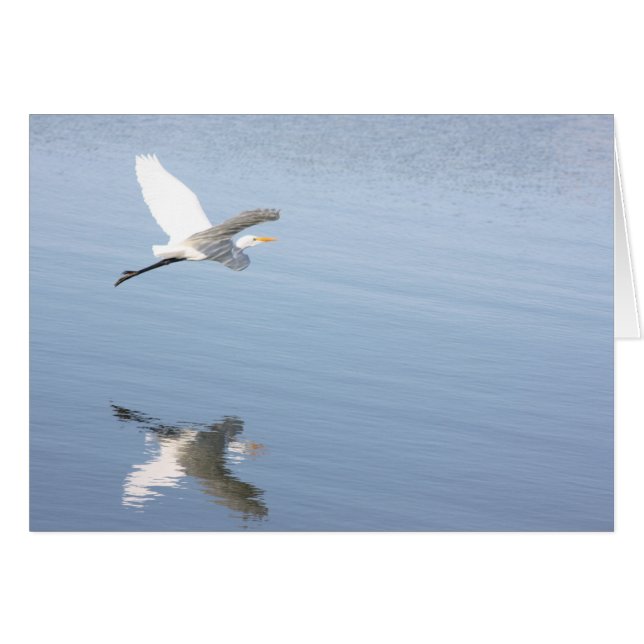 Reflektion (Vorderseite (Horizontal))