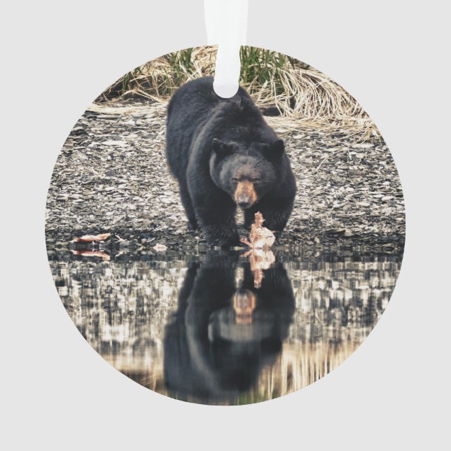 Reflektion des schwarzen Bären Ornament (Rückseite)