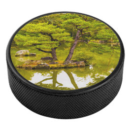 Reflektion Eishockey Puck