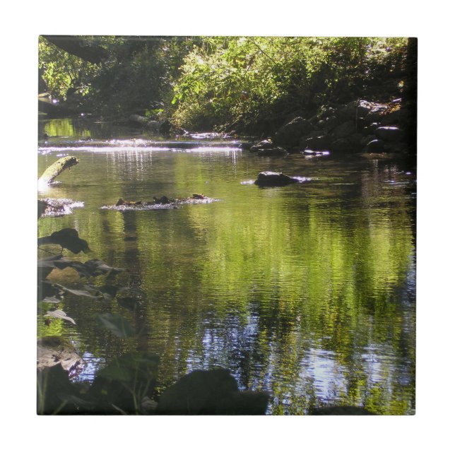 Reflektion Fliese (Vorderseite)