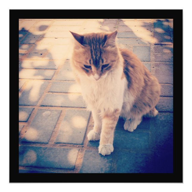 Reflektion Fotodruck (Vorne)