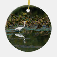 Reflektion
