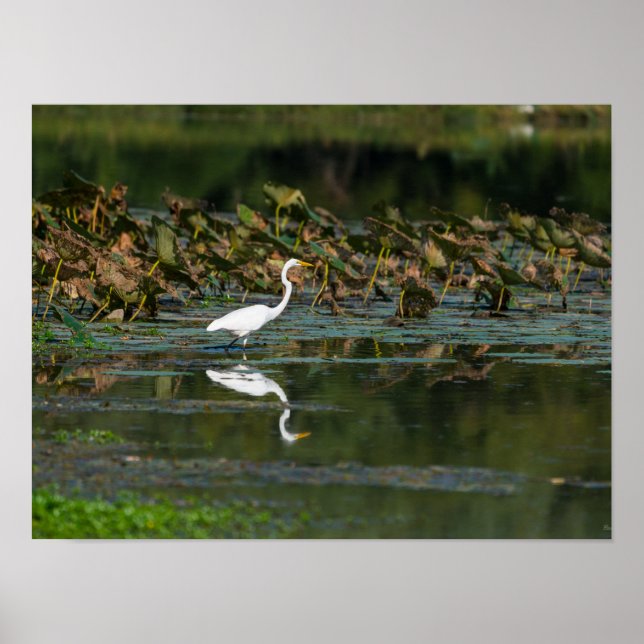 Reflektion Poster (Vorne)