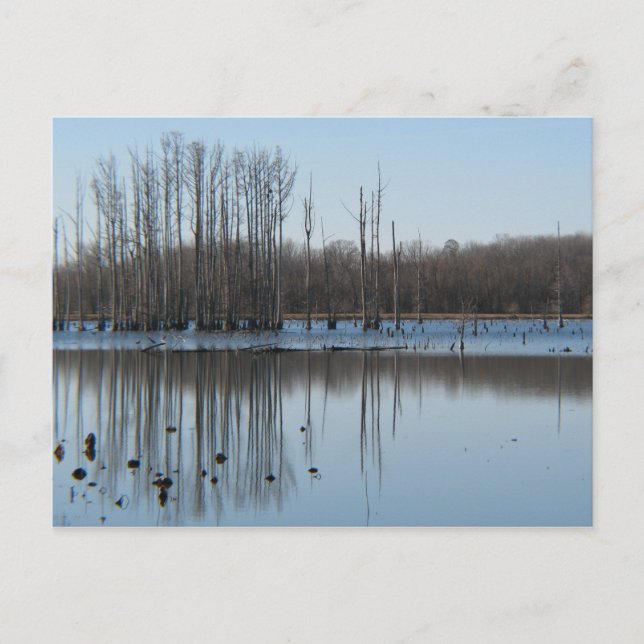 Reflektion Postkarte (Vorderseite)