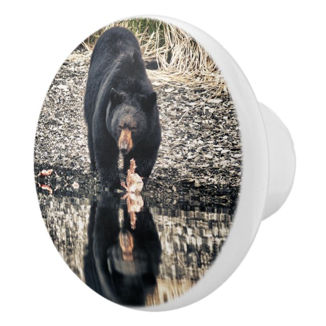 Reflektion von Schwarzbären Keramikknauf (Rechts)