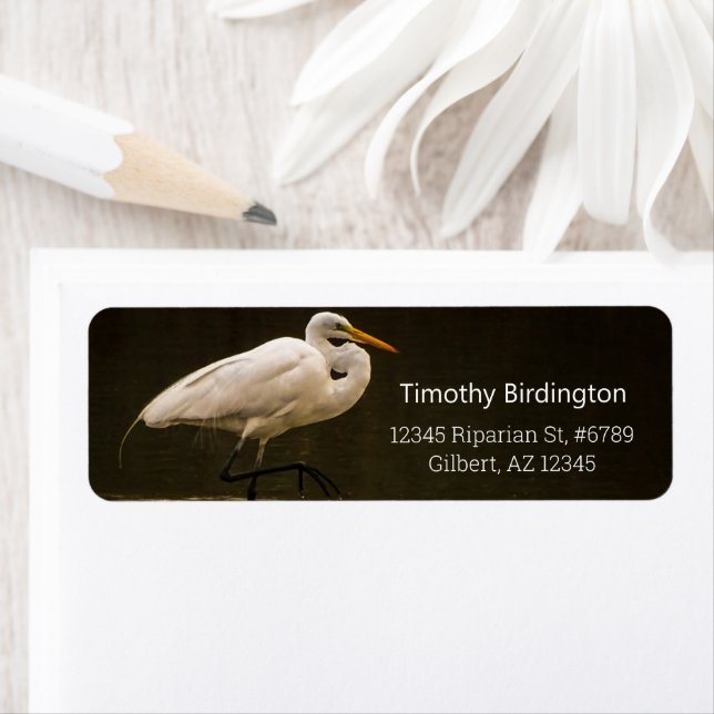 Reflektion von Weißem Großer Egret-Vögeln im Wasse (Insitu)