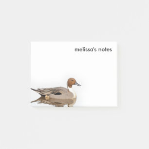 Reflektionen einer Nördlichen Nadelente Post-it Klebezettel