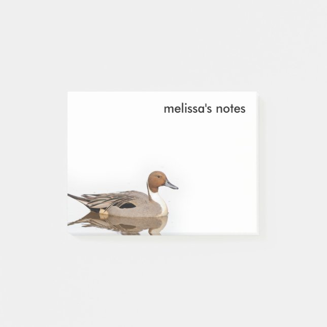 Reflektionen einer Nördlichen Nadelente Post-it Klebezettel (Vorderseite)