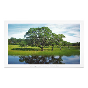 "Reflektionen eines bewaldeten Wunderlands", Natur Fotodruck