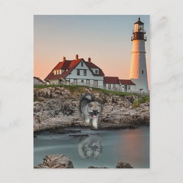 Reflektionen im Leuchtturm Postkarte (Vorderseite)