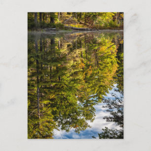 Reflektionen im Rotadlersee Weiße Berge Postkarte