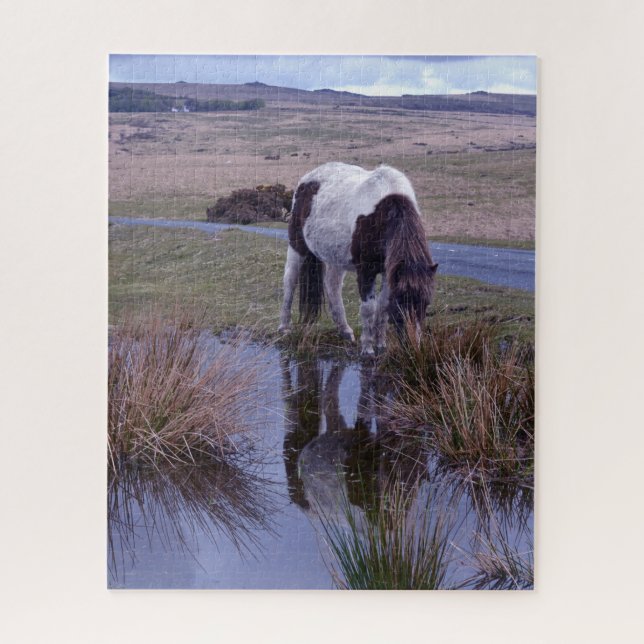 Reflektionen of a Pony Dartmoor National Park Puzzle (Vertikal)