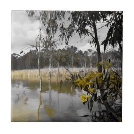 Reflektionen unter grauem Himmel Fliese
