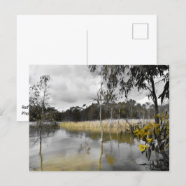 Reflektionen unter grauem Himmel Postkarte