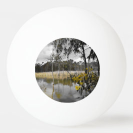 Reflektionen unter grauem Himmel Tischtennisball