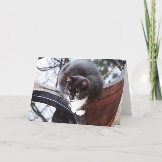Reflektiv Tuxedo Cat on Barrels note cards Karte (Vorderseite)