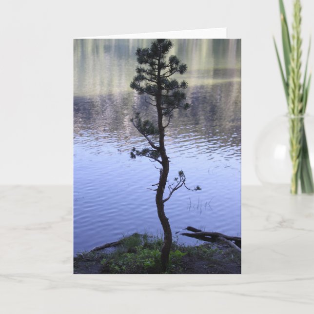 Reflexion auf dem Wasser Karte (Vorderseite)