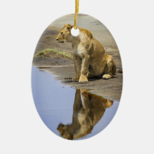 Reflexion einer Löwin-Verzierung Keramik Ornament