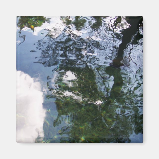 Reflexion im Sturgeon-Teichmagnet Magnet (Vorne)