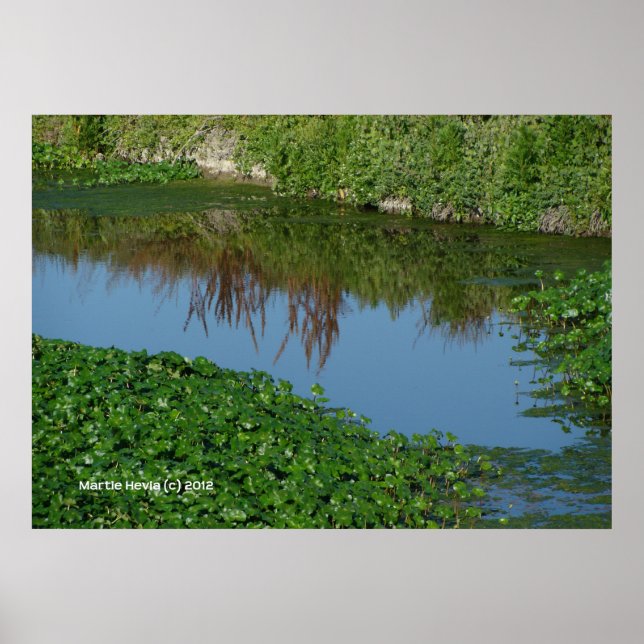 Reflexion in Grün Poster (Vorne)