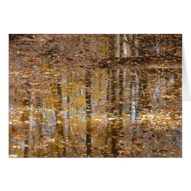 Reflexion über den Still Creek im Greenbelt Park (Vorderseite (Horizontal))