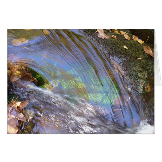 Reflexionen (Vorderseite (Horizontal))