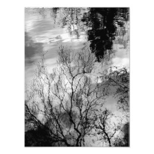 Reflexionen auf Wasser Fotodruck