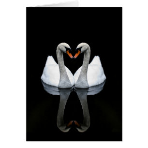 Reflexionen der Liebe, Herz-Form, weiße Schwäne