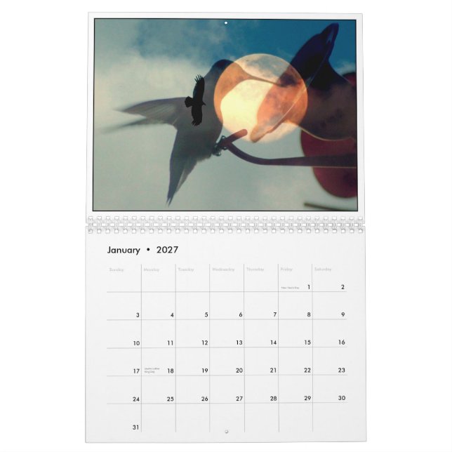 Reflexionen der Natur Kalender (Jan 2027)