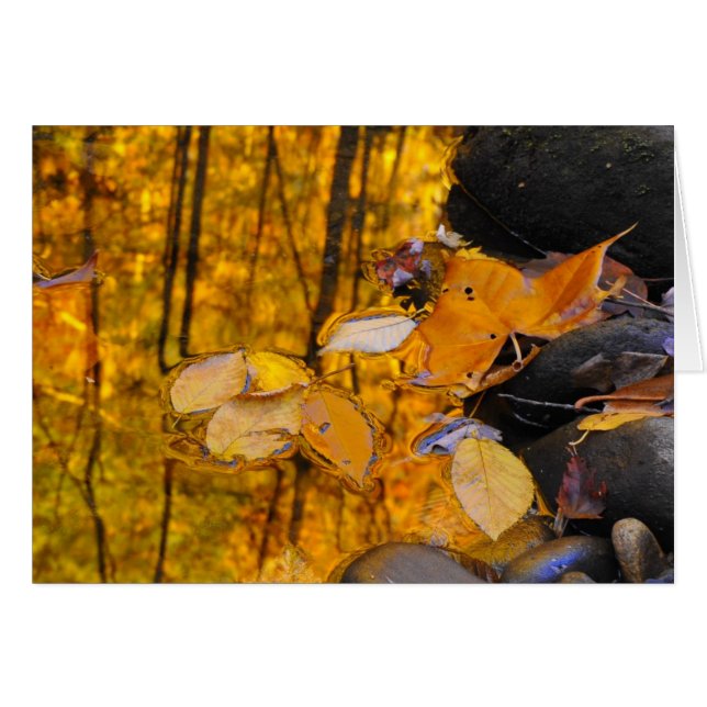 Reflexionen des Herbst-Goldes (Vorderseite (Horizontal))