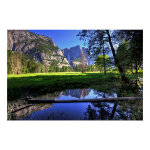 Reflexionen von Fällen Poster