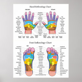 Reflexologie Abbildung 30X40" Poster