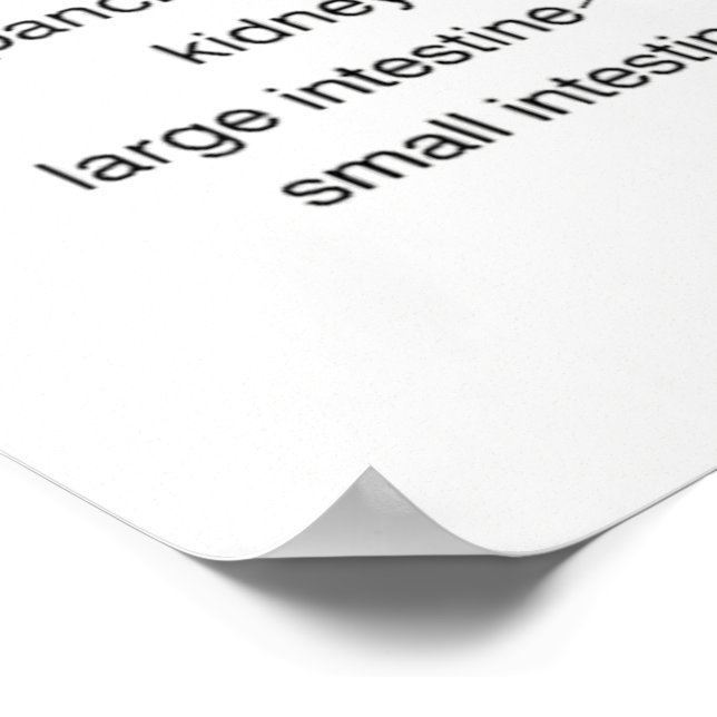 Reflexologie Diagramm 24X36" Poster (Ecke)