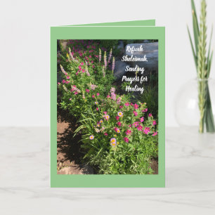 Refuah Sheleimah, Heilung senden Karte