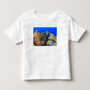 Regal Angelfish Pygoplites diacanthus), Kleinkind T-shirt