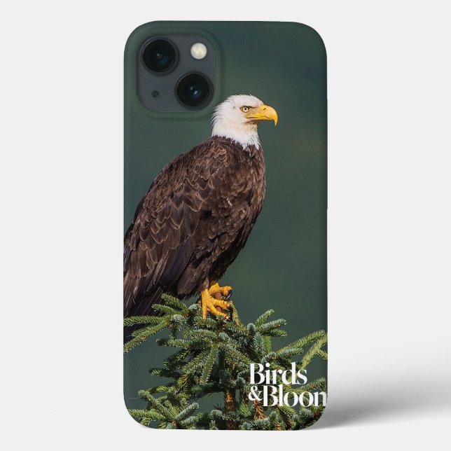 Regal Bald Eagle Case-Mate iPhone Hülle (Rückseite)
