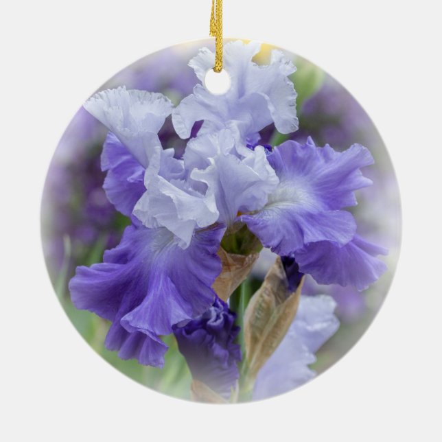 Regal Bearded Iris - Lila & weiß Keramik Ornament (Hinten)