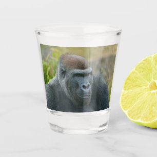 Regal Blackback Gorilla Schnapsglas