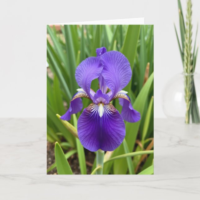 Regal Bloom Muttertagskarte Karte (Vorderseite)