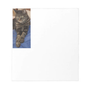 Regal Dave 40 Page Notepad Notizblock