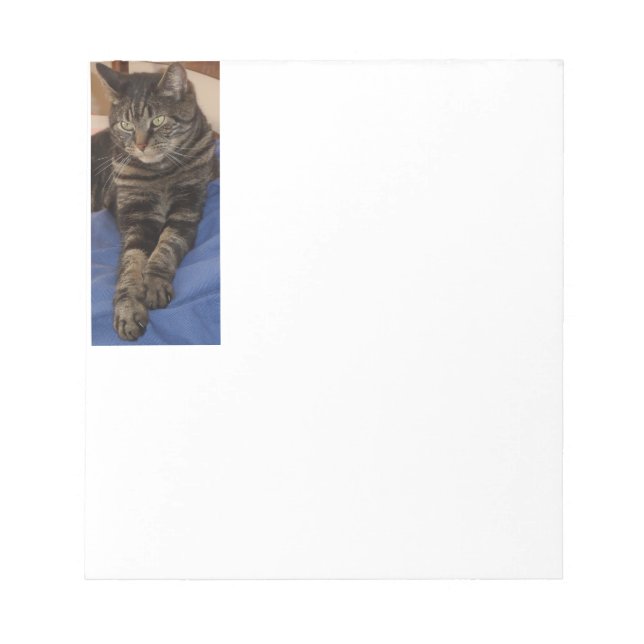 Regal Dave 40 Page Notepad Notizblock (Vorderseite)