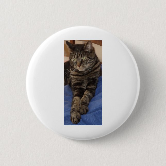 Regal Dave Abzeichen Button (Vorderseite)