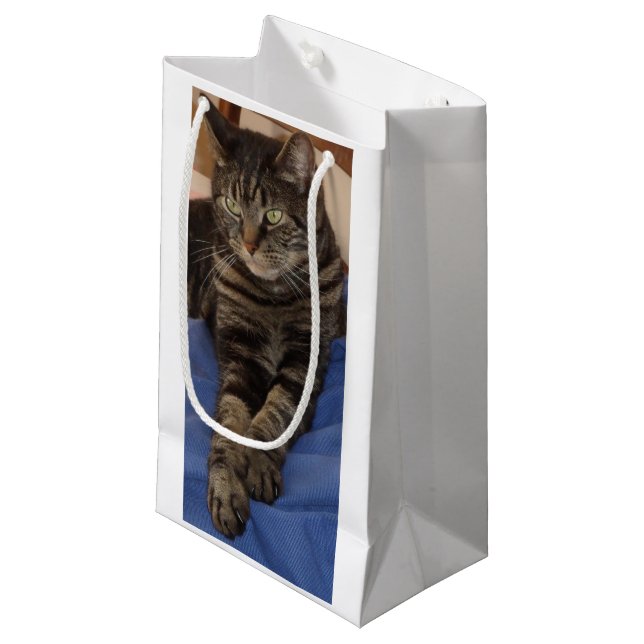 Regal Dave Gift Bag Kleine Geschenktüte (Vorderseite Schrägansicht)