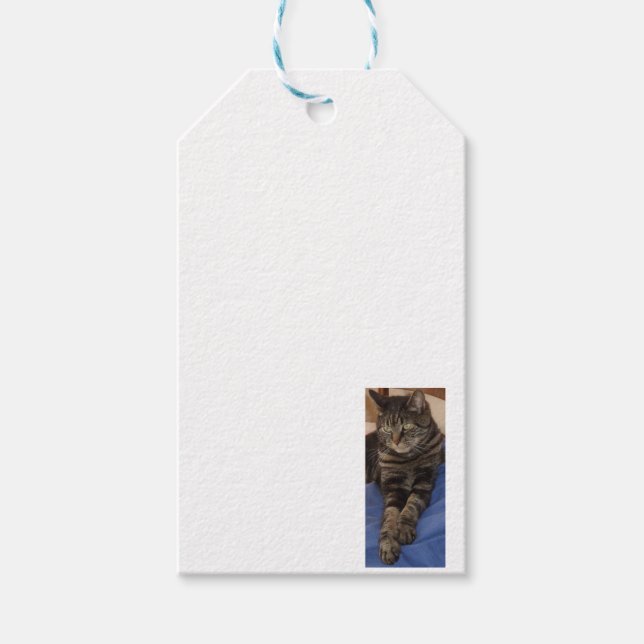 Regal Dave Gift Tag Geschenkanhänger (Vorderseite)