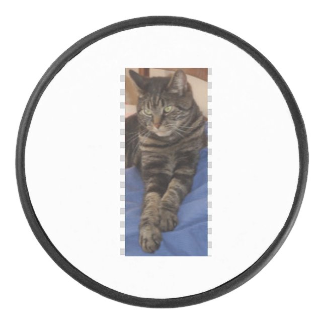 Regal Dave Hockey Puck (Vorderseite)