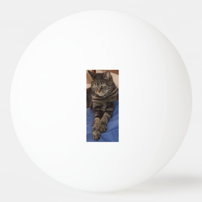 Regal Dave One Star Ping Pong Ball Tischtennisball (Vorderseite)